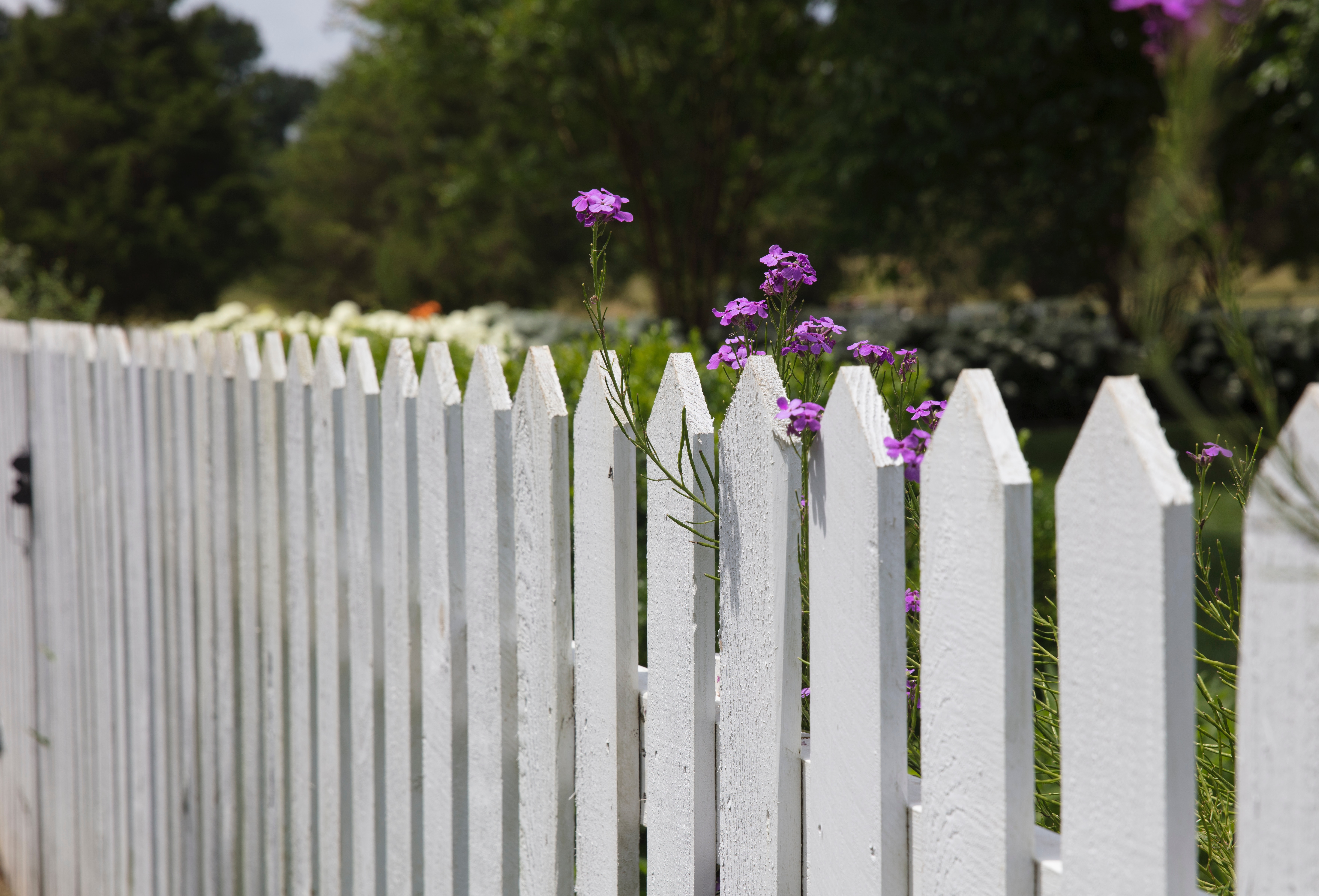 Adverse possession – To Fence or Not to Fence